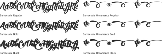 Barracuda Font Preview