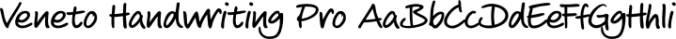 Veneto Handwriting Pro Font Preview