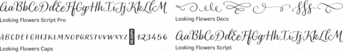 Looking Flowers Font Preview