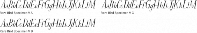 Rare Bird Specimen V Font Preview