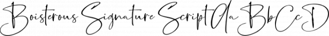 Boisterous Signature Script Font Preview