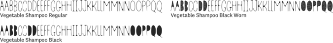 Vegetable Shampoo Font Preview