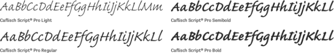 Caflisch Script Pro Font Preview