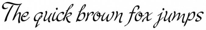 Cruz Script Calligraphic Pro Font Preview