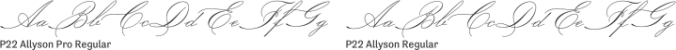 P22 Allyson Pro Font Preview