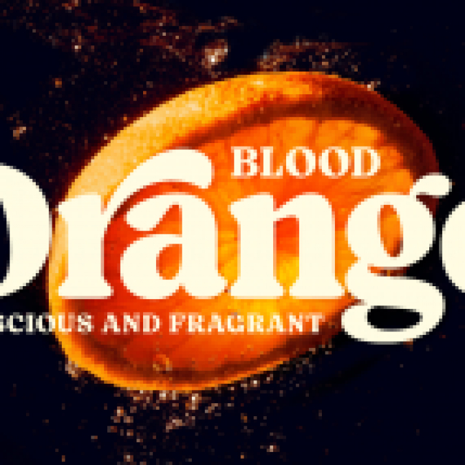 Blood Orange font download