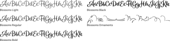 Blossoms Font Preview