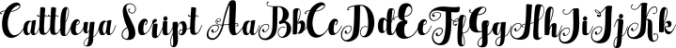 Cattleya Script Font Preview