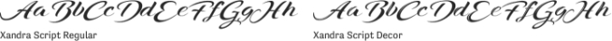 Xandra Script font download