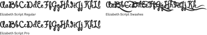 Elizabeth Script Font Preview