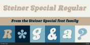 Steiner Special font download