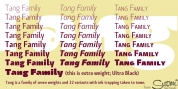Tang font download