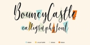 Bouncy Castle font download
