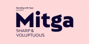 Bw Mitga font download