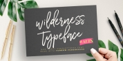 Wilderness Typeface font download
