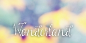Wonderland font download