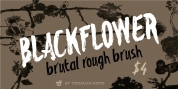 Blackflower font download