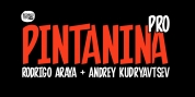 Pintanina Pro font download