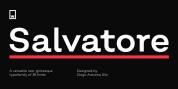 Salvatore font download