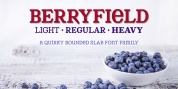 Berryfield font download