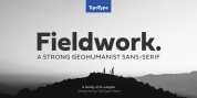 Fieldwork font download
