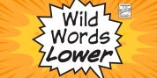Wildwords Lower font download