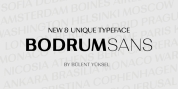 Bodrum Sans font download
