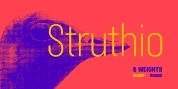 Struthio font download