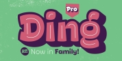 Ding Pro font download