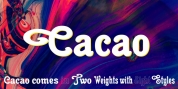 Cacao font download