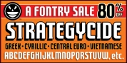 FTY Strategycide font download