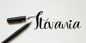 Stevania font download