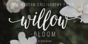 Willow Bloom font download