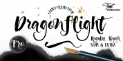 Dragonflight Pro font download