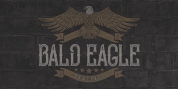 Bald Eagle font download