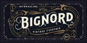 Bignord Vintage font download