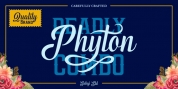 Phyton font download