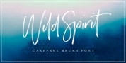Wild Spirit font download