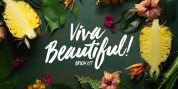 Viva Beautiful font download