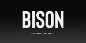 Bison font download