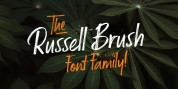 Russell Brush font download