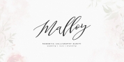 Malloy font download