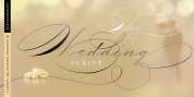 The Wedding Script font download