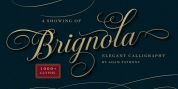 Brignola font download