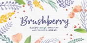 Brushberry font download