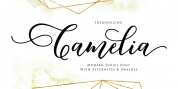 Camelia Script font download