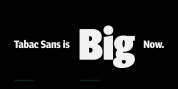 Tabac Big Sans font download