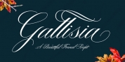 Gallisia Script font download