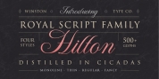 WT Hilton Script font download