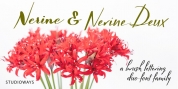 Nerine font download